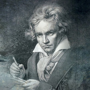 Beethoven nights in NOVAT